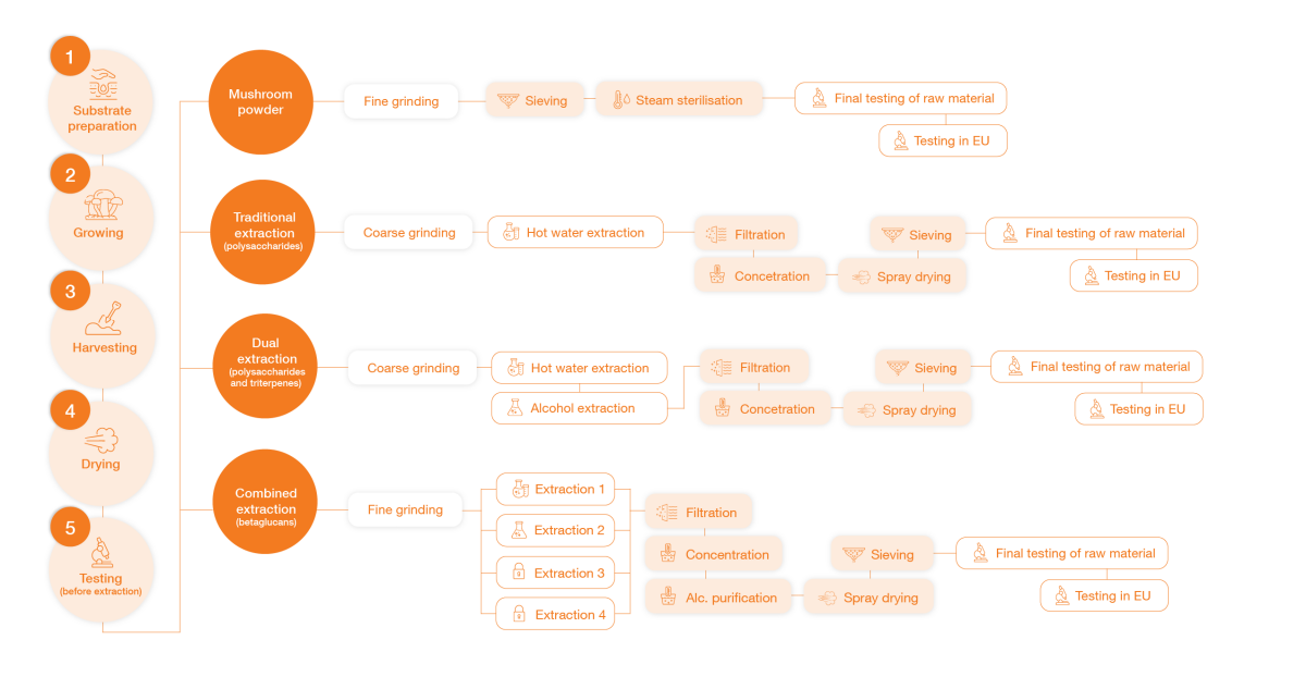 diagrama-extrakce-mycomedica-en