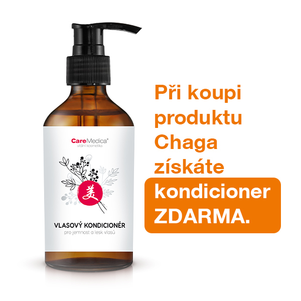 NEMOKAMA Chaga ir plaukų kondicionierius