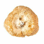 BIO milteliai Hericium
