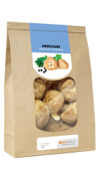 Džiovintas Hericium