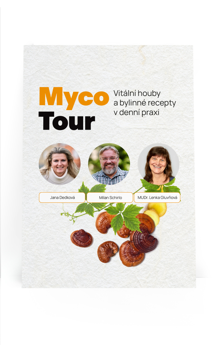 MycoTour - grybų ir vaistažolių seminarai