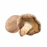 Ekstraktas Shiitake 30%