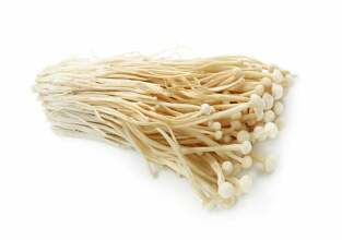 enoki grybai